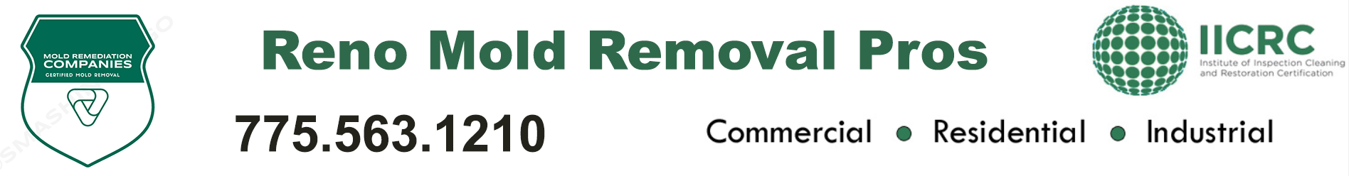 Reno Mold Removal Pros